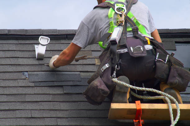 Best Chimney Flashing Repair  in Mchenry, IL