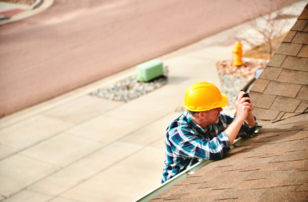 Best Roof Moss and Algae Removal  in Mchenry, IL